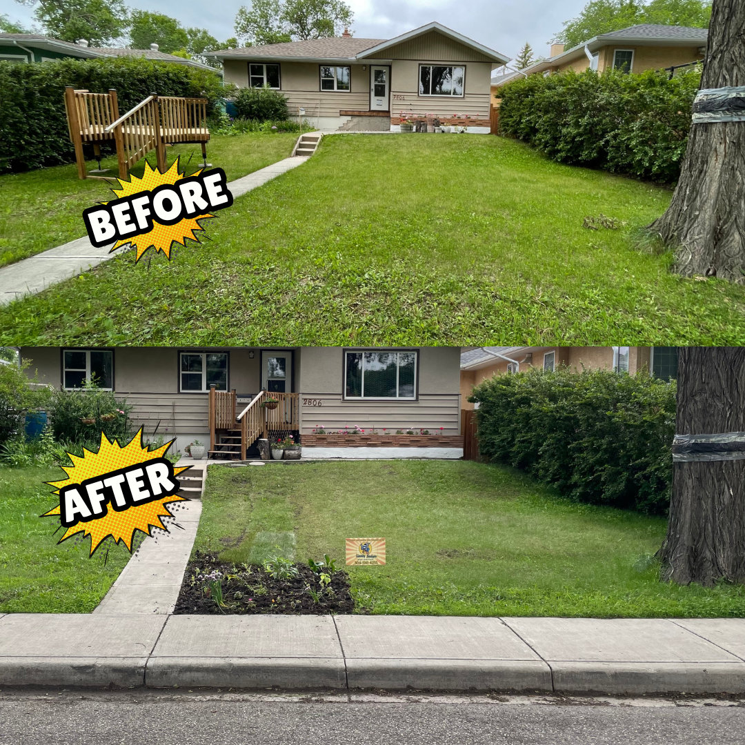 Two photos show a house's front yard; the "before" image has plain grass, while the "after" highlights a newly planted flower bed near the sidewalk, following recent sewer root removal work.